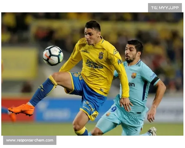 勒纳·钱力克马洛卡公开赛夺冠背后的技术与心理解析 勒纳·钱力克马洛卡公开赛夺冠背后的技术与心理解析